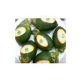 Betel Nuts thumbnail-1