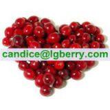 100% Superfruit Blend Imported Cranberry thumbnail-1