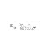 Power Filling Process: thumbnail-1