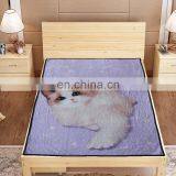 Wholesale Custom New Flannel Cartoon Printed Leisure Blanket thumbnail-5