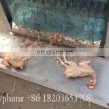 Automatic Frying Temperature Control Deep Frying Machine Price in Sri Lanka Philippines Chips Frying Machine Kenya thumbnail-1