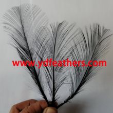 Burnt Goose Nageoires Feather Dyed Black 6