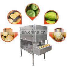 Factory Genyond Automatic Fruit Peeler Equipment Citrus Orange Lemon Peel Removing Peeling Machine Used for Industrial thumbnail-5