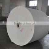 Spunbond Polyester Mat as Reinforcement for Water Proofing Membrane. thumbnail-1