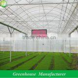 Vegetable Production Greenhouse China thumbnail-1