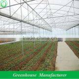 Steel Pipe Greenhouse thumbnail-1