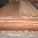 0.35mm Keruing Veneer for India Market thumbnail-1