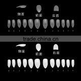 Stiletto Nails 10 Different Sizes Half Cover Nail Tips 500 Pcs per Bag Package