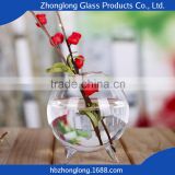 2016 New Design Eco-Friendly Transparent Rose Glass Vase                        
                                                Quality Choice