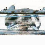 Auto Lamp thumbnail-1