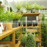 High Quality Artificial Grass Ball, Artificial Topiary Grass Ball thumbnail-4