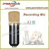 Panvotech S-700 Recording Microphone / Studio Microphone