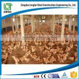 Low Cost Steel Frame Chicken House for Broilers thumbnail-2