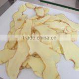 Fresh Ginger for Exportation thumbnail-1