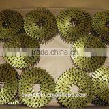 High Quality Free Sample Common Coil Nail thumbnail-6