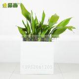 Matt White Square Long Use Life FRP Flower Pots thumbnail-1