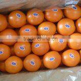 Fresh Navel Orange Citrus Fruits 15kg Box thumbnail-3