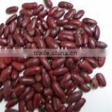 dark red kidney bean