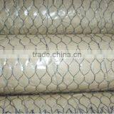 3/4" (20mmx20mm) Electro Galvanized Hexagonal Chicken Mesh thumbnail-1