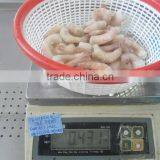 IQF Shrimps HLSO thumbnail-1