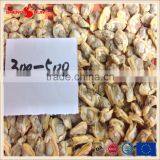 Grade A Standard IQF Baby Clam Meat thumbnail-1