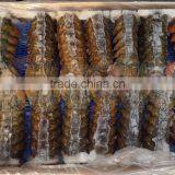 Lobster Tails thumbnail-2