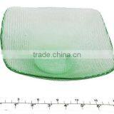 Green Clear Glass Plate