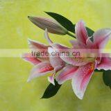 Best Selling Flower Adorable Fresh Cut Lily Mother's Day Gift Natural Lily From Yunnan thumbnail-6