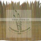 Fern Mat Fence thumbnail-1