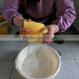 Large Sponge thumbnail-6