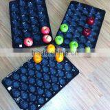 Netherland&Australia Popular Wholesale 29x39cm Plastic Tray With Dividers For Fresh Mango Fruit thumbnail-1