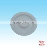 BML-10 PTFE Diaphragm Pump Flake