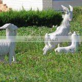 Hebei Sitong Cashmere Product Group Co., Ltd. company overview - view 1 thumbnail