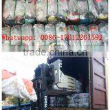 Second Hand Clothes - Tropical Mix thumbnail-3