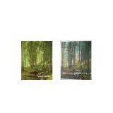 high quality oil painting -landscape