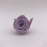 High Quality Timeless Preserved Flower Rose to Make Gorgeous Flower Gifts thumbnail-2