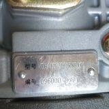 High Quality Diesel Fuel VE Pump 096000-9721 096000 9721 for Sale thumbnail-4