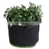 New Design 2020 Felt Grow Bag for Tree thumbnail-1