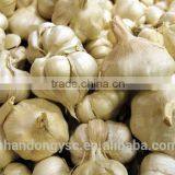The Best Vegetable Product From China Fresh Garlic thumbnail-6