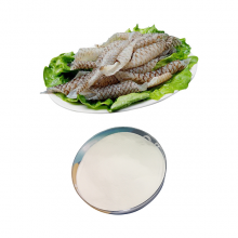 Collagen Factory Marine Fish Small Molecule Fish collagen peptides hydrolyzed thumbnail-2