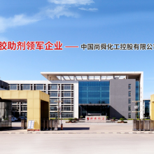 Shandong Sunsine Chemical Co., Ltd. company overview - view 1 thumbnail