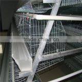 Best Selling Hen House Design With Full Automatic System thumbnail-3