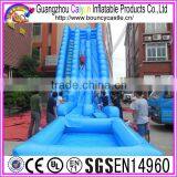 Long Water Slide Inflatable Water Slide With Pool