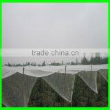 Yemen Selvage Anti Hail Net /100% Virgin HDPE Knitted Anti Hail Net thumbnail-5