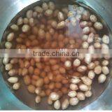Wet Type Almonds Peeling Machine for Sale, Low Price Peeler Processing Machine thumbnail-4
