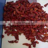 Dry Red Chili With High Quality thumbnail-4