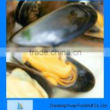frozen boiled mussel with shell