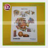 Cheap Wholesale Plastic Medical Chart Holder