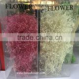 Professional Export Preserved Flower In Kunming Pink Gypsophila Artificial To Lovers