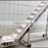Food Grade Modular Belt Elevator Conveyor for Meat
